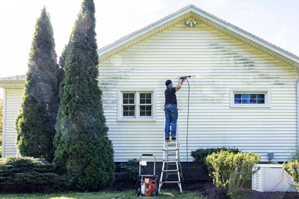 Best Gutter Cleaning  in Iva, SC